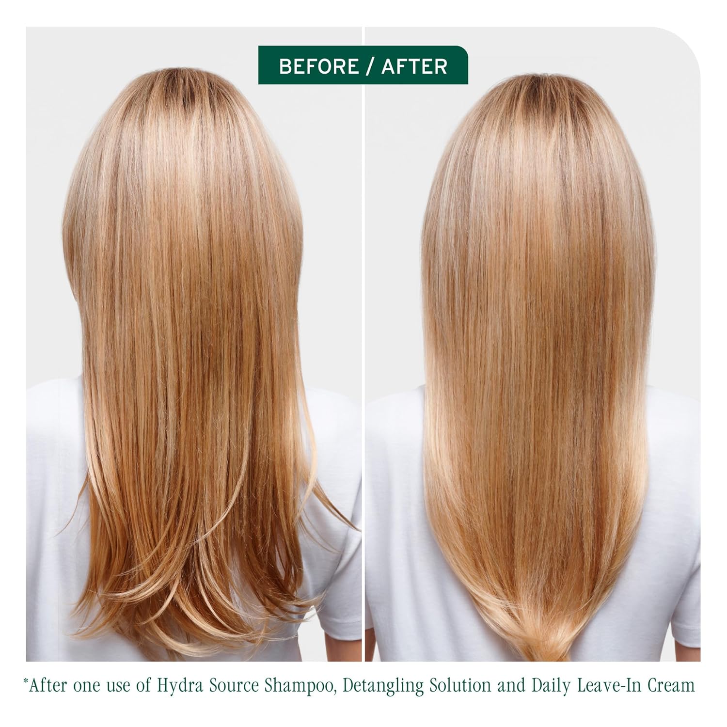 Biolage Hydra Source Shampoo - Softens & Adds Shine, For Dry Hair, Infused with Fermented Aloe