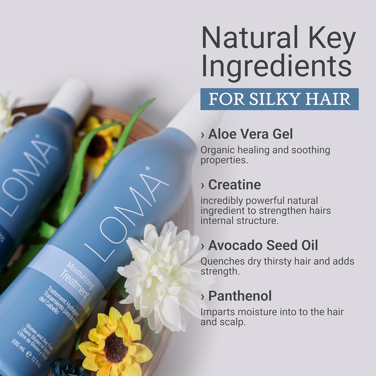 Loma Hair Care Moisturizing Shampoo & Treatment Duo, 12 Fl Oz each