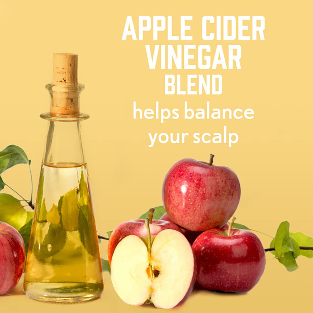 Aveeno Apple Cider Vinegar Shampoo +Conditioner for Balance &High Shine, Daily Clarifying &Soothing