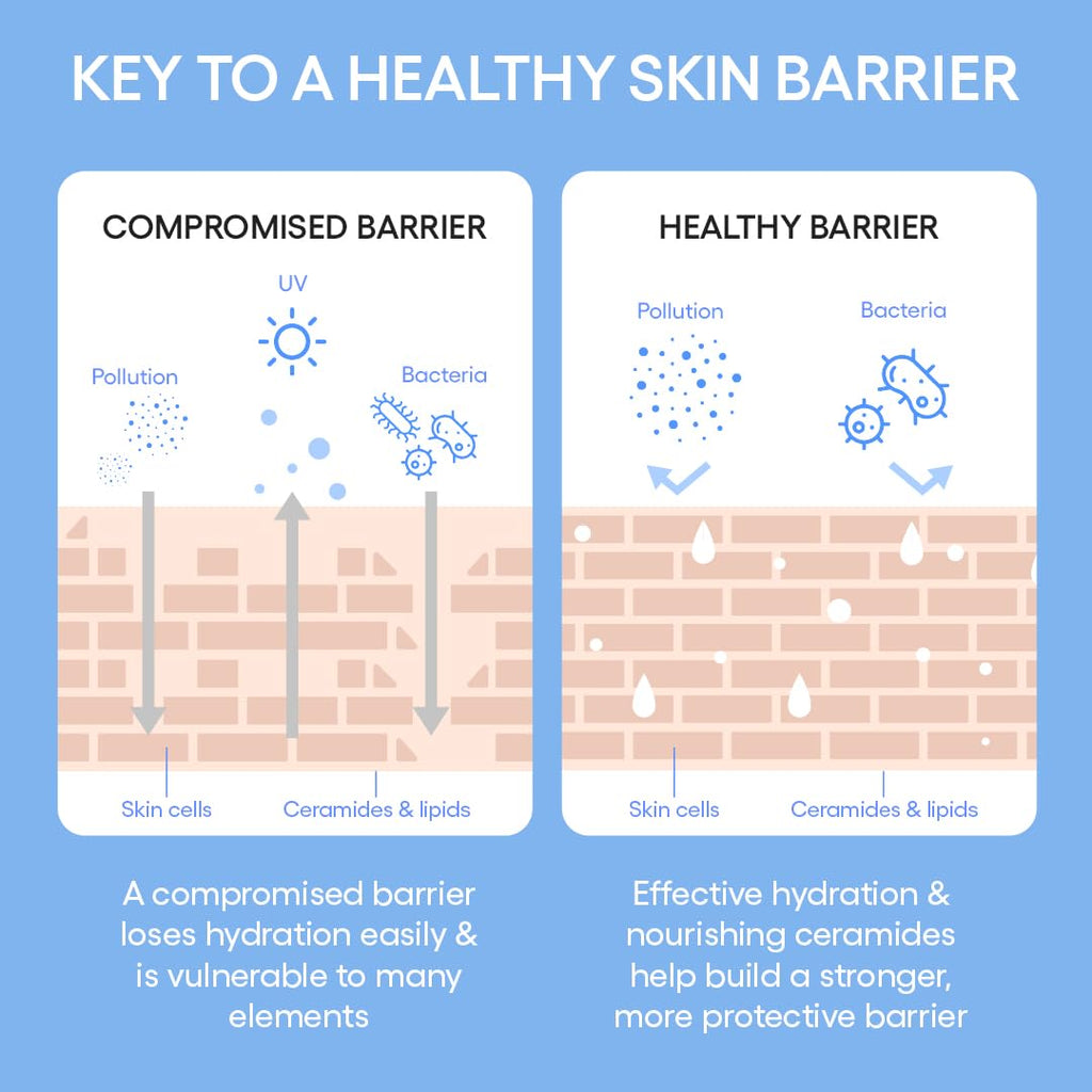 LANEIGE Cream Skin Toner & Moisturizer: Lightweight Korean Milky Toner with Ceramide & Peptide
