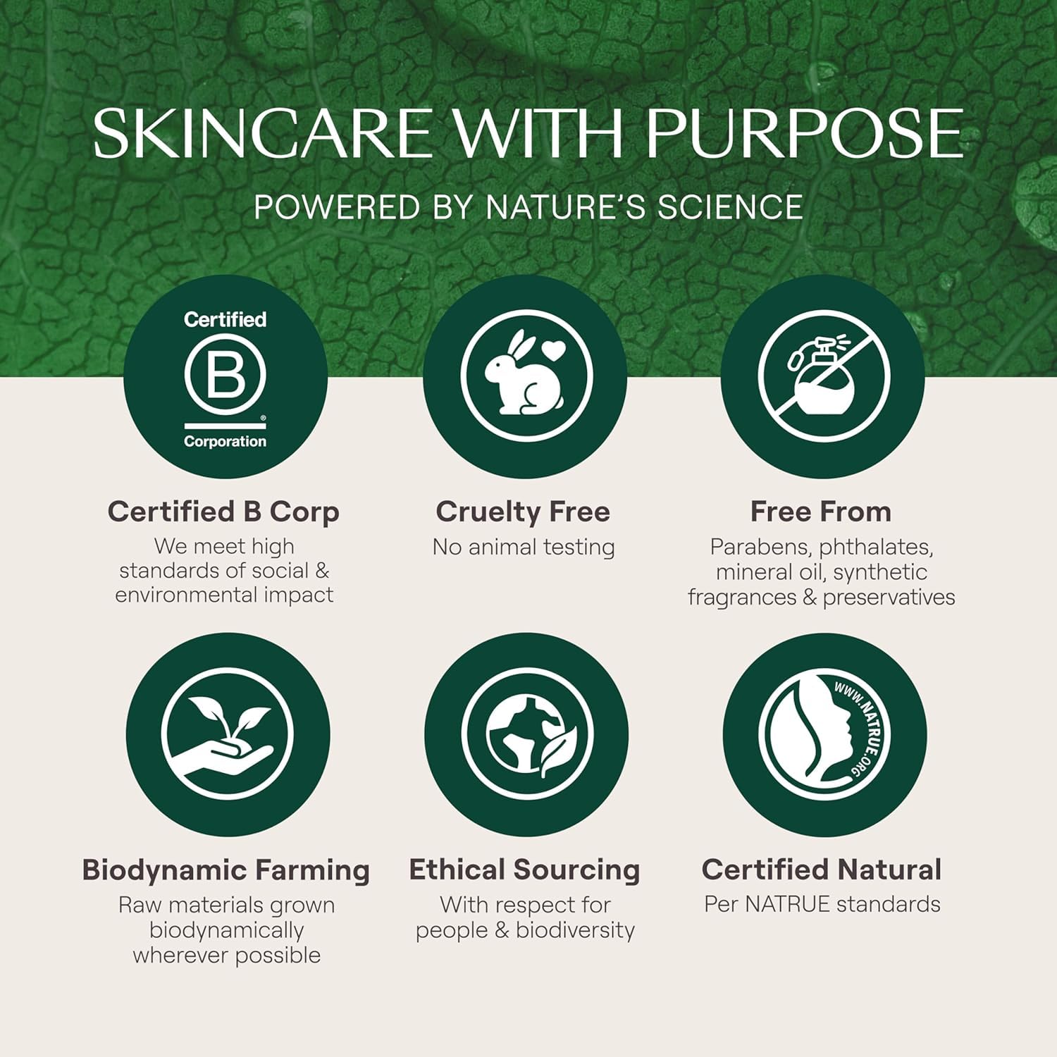 Weleda Skin Food Face Care Nourishing Day Cream, 1.3 Fl oz, Plant Rich Moisturizer with Olive Leaf